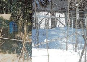 Healing town: Lincoln coping with its Unabomber past